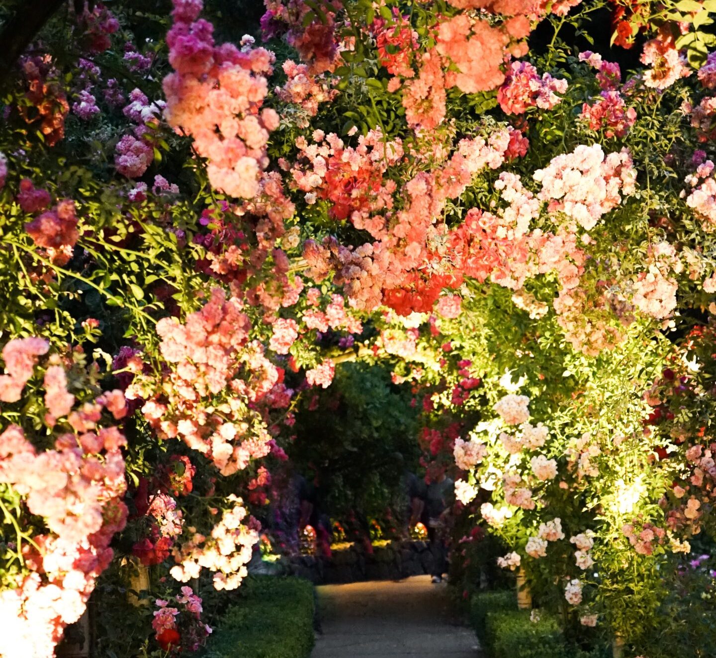 A beautiful arch in a garden with pink flowers - how to enjoy the outdoors