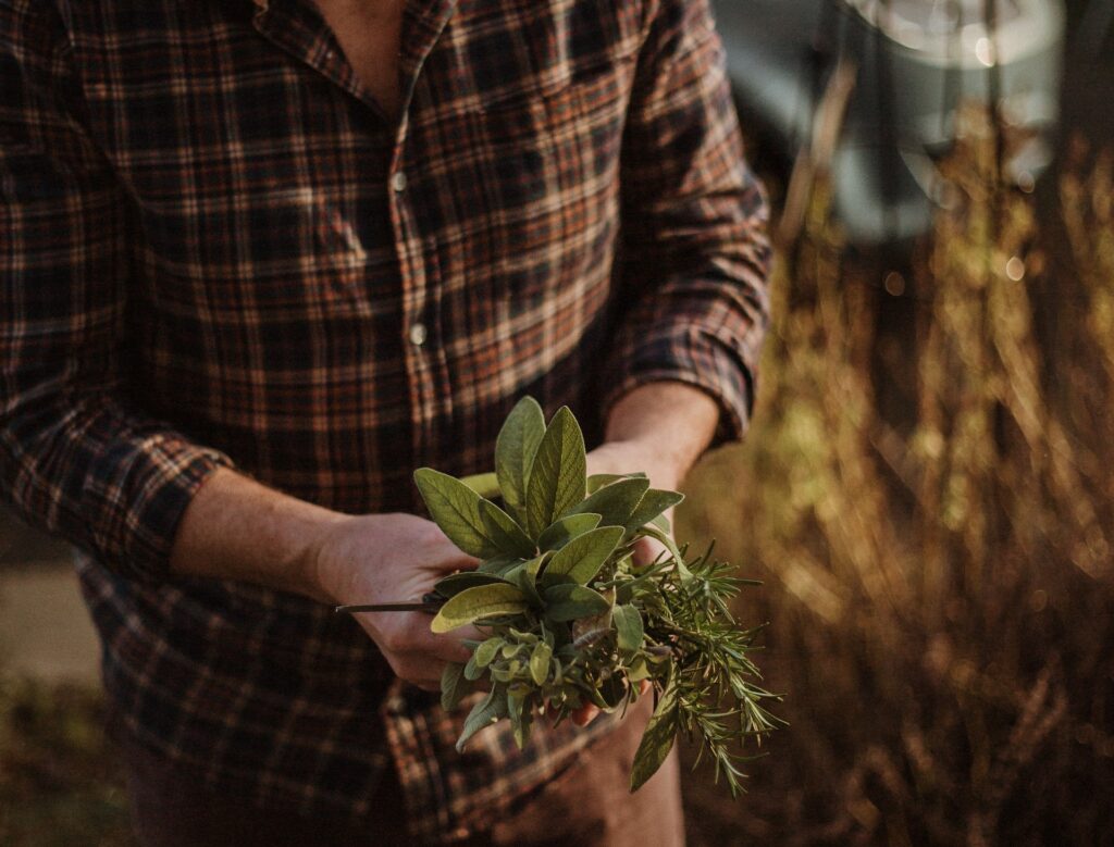 slow living pic of someone outside with plants
