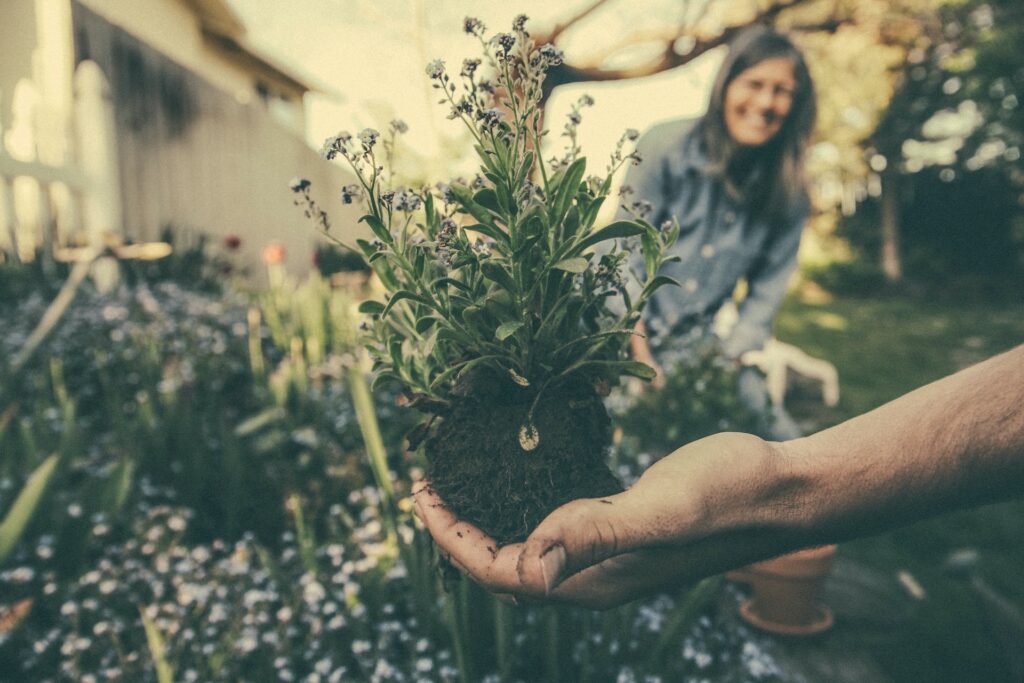 slow living hobbies gardening