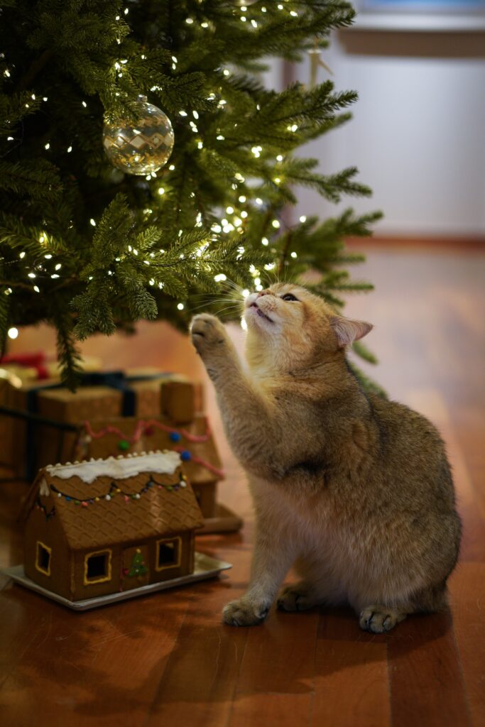 cat playing with a christmas tree
