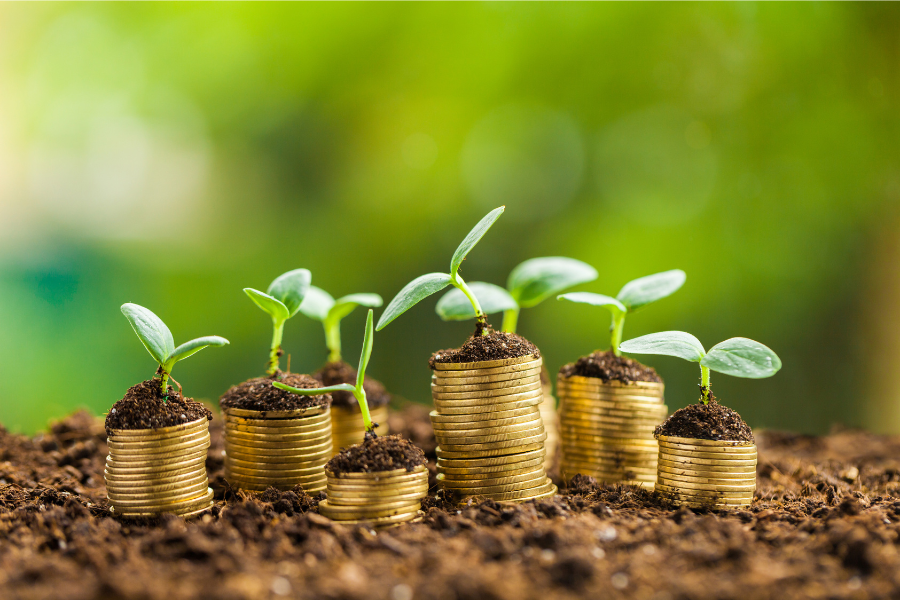 money piles with plants growing out of them to show money growth